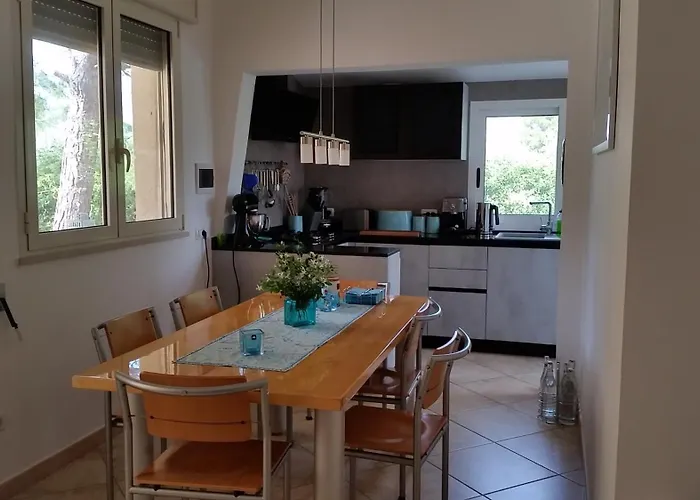 Timo Holiday home